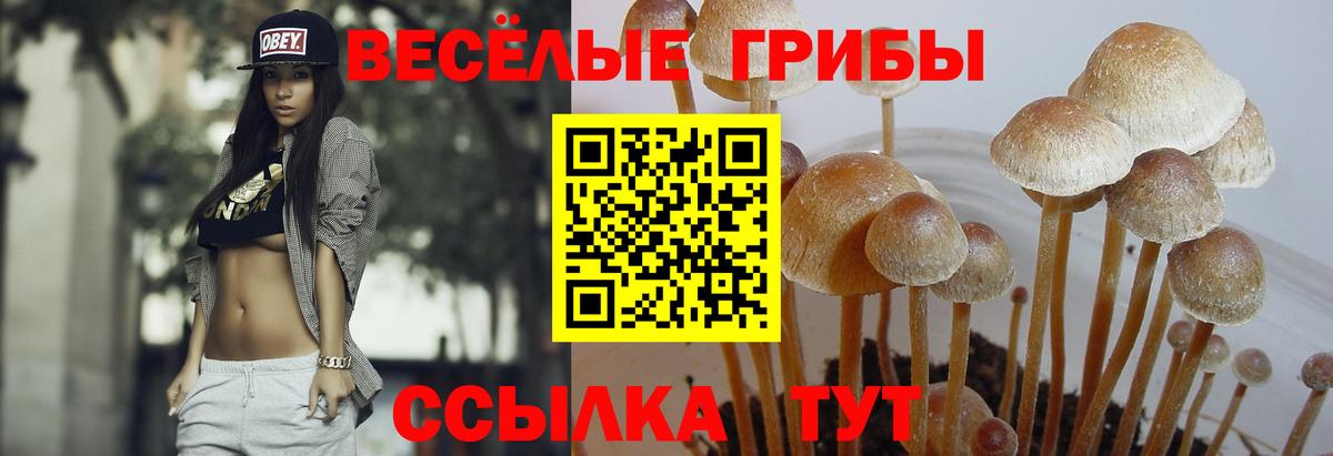 Орехово-Зуево  купить наркотик  Вход с VPN  Псилоцибиновые грибы прущие грибы 